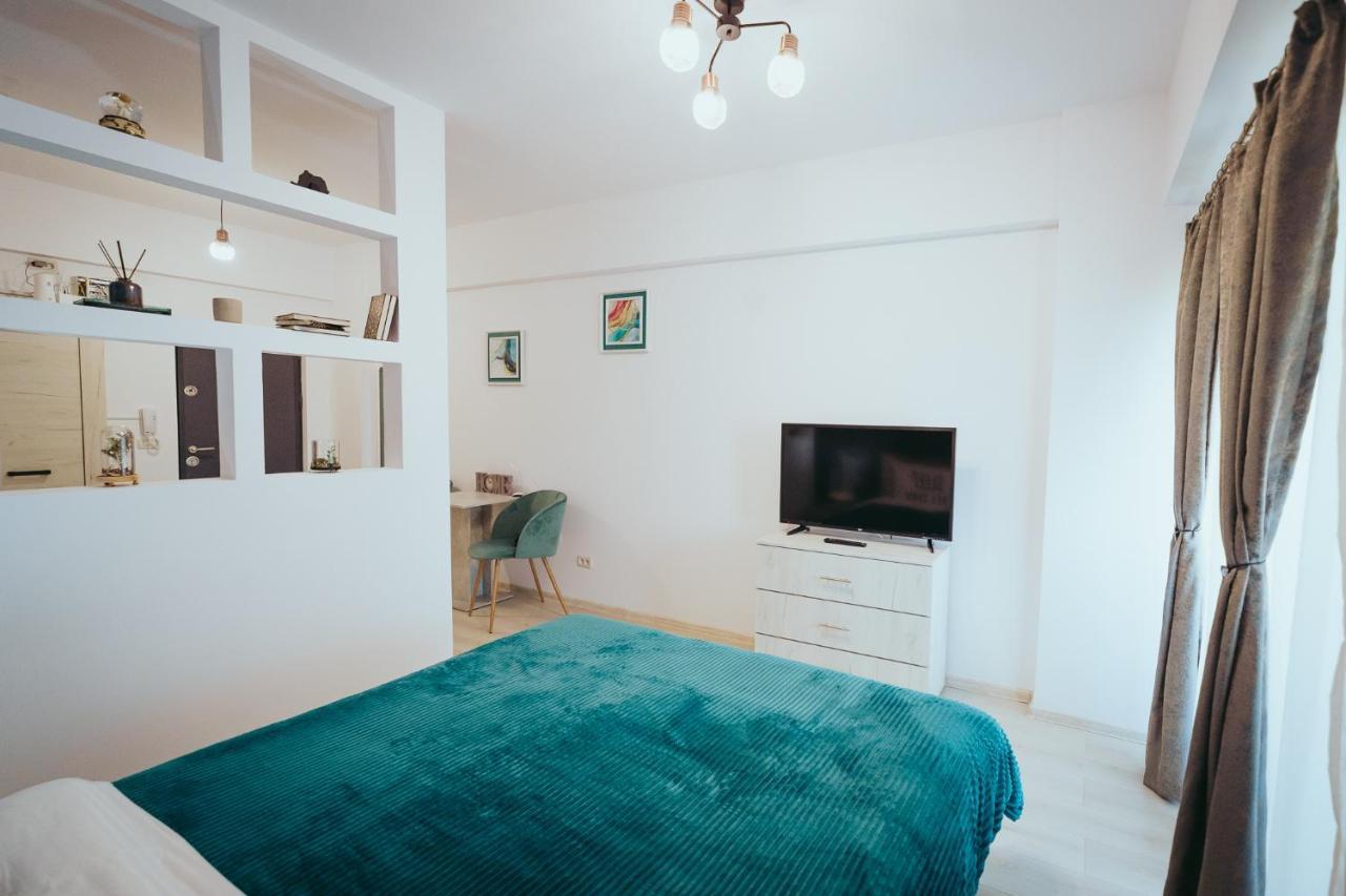 Homey Studio Tulcea Exterior photo
