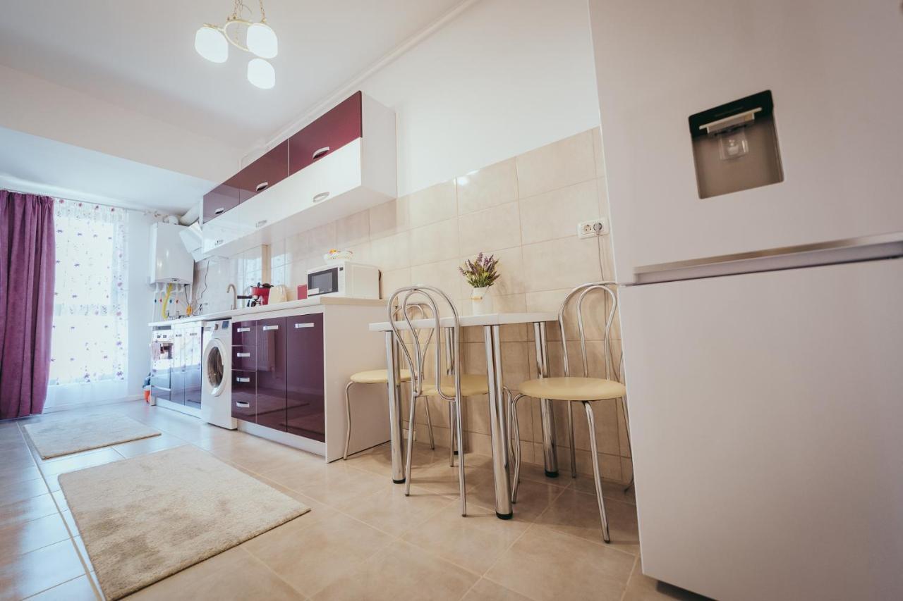 Homey Studio Tulcea Exterior photo