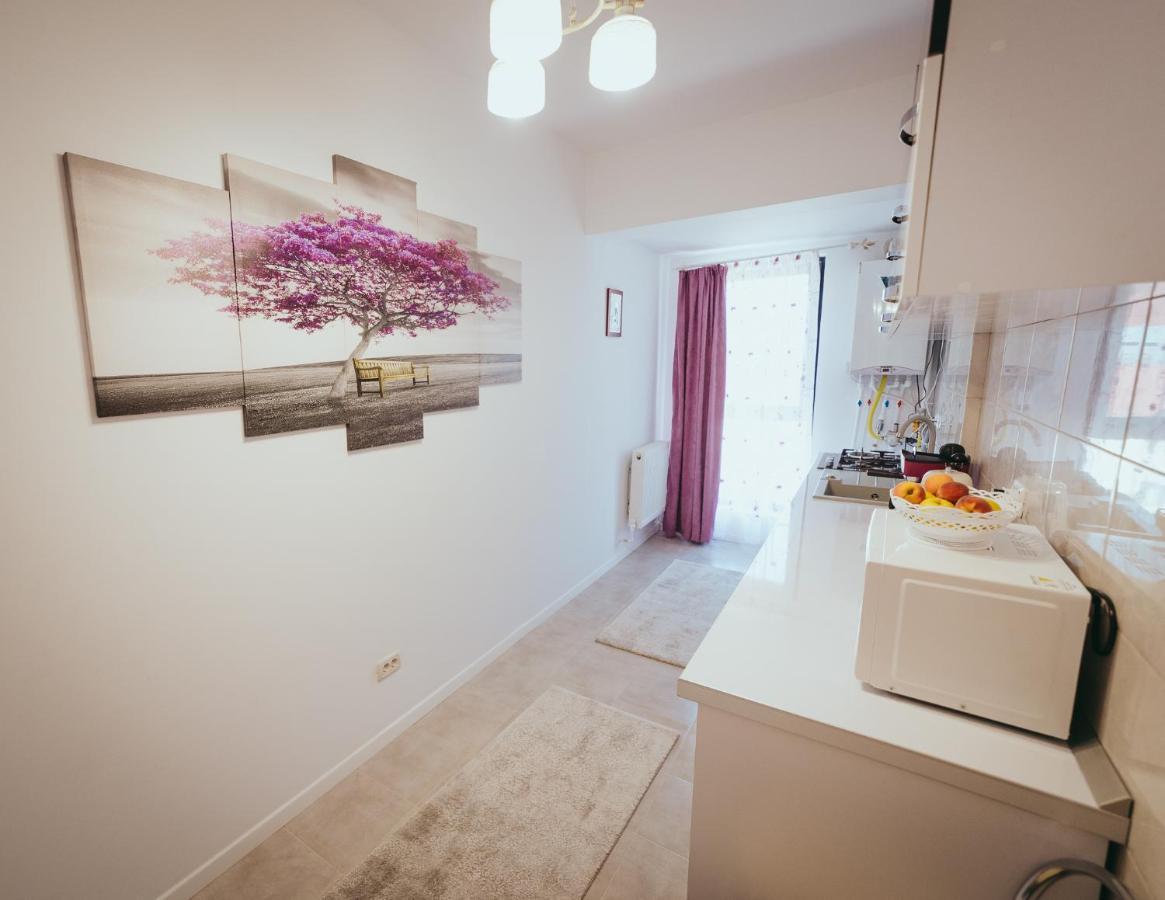 Homey Studio Tulcea Exterior photo