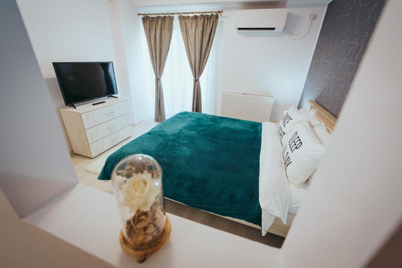 Homey Studio Tulcea Exterior photo