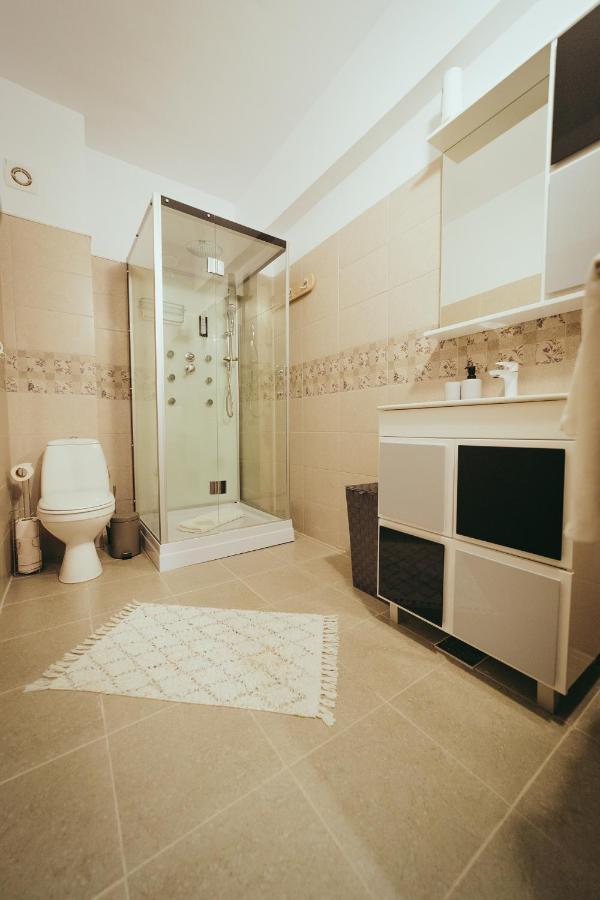 Homey Studio Tulcea Exterior photo